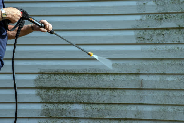 Best Warehouse Cleaning  in Cross Mountain, TX